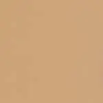 Skin Realist Base 4.5 - TAN
