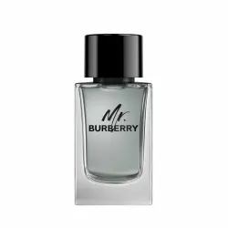 Mr Burberry Edt V150ml