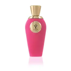 V Canto - Perfumes unisex 100 ml unisex
