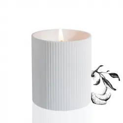 Bleu Mandarine Candle 250 gr