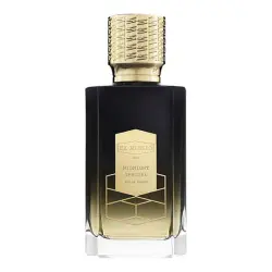 Perfume Midnight Special 100 ml Ex Nihilo Isolée