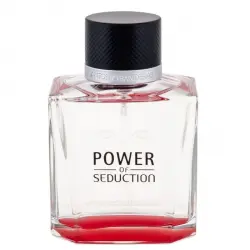 Power of Seduction Eau de Toilette 100 ml