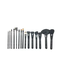 Brochas Y Pinceles Professional Estuche 15 pz