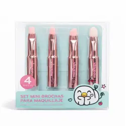 Set de Mini Brochas 4 en 1
