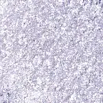 Glitz Stone Iluminador HL12 - Merry Aurora - Travel Size