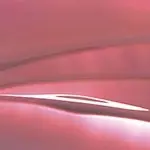 Lip Polish Barra de Labios 037 - ROSEWOOD