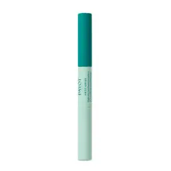 PÃ¢te Grise Stylo Duo Purifiant Correcteur