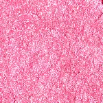 Glitz Stone Iluminador HL01 - Fever Garnet - Travel Size