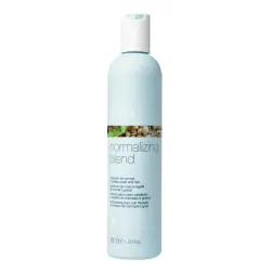 Normalizing Blend Champú capilar 300 ml