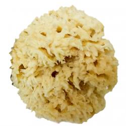Relax Nature - Esponja Natural Blanchi Grande