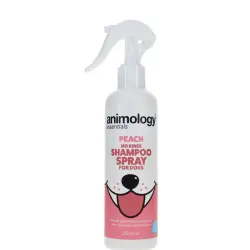 Champú No Rinse 250 ml  Animalogy