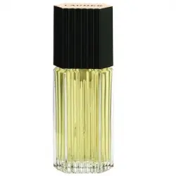 Estée Lauder Lauder for Men Eau de Cologne Spray 100 ml 100.0 ml