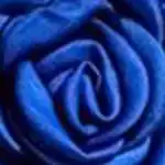 SOHO - Collar Gargantilla Rosa 1 pieces Azul unisex - Soho - Comparador de precios