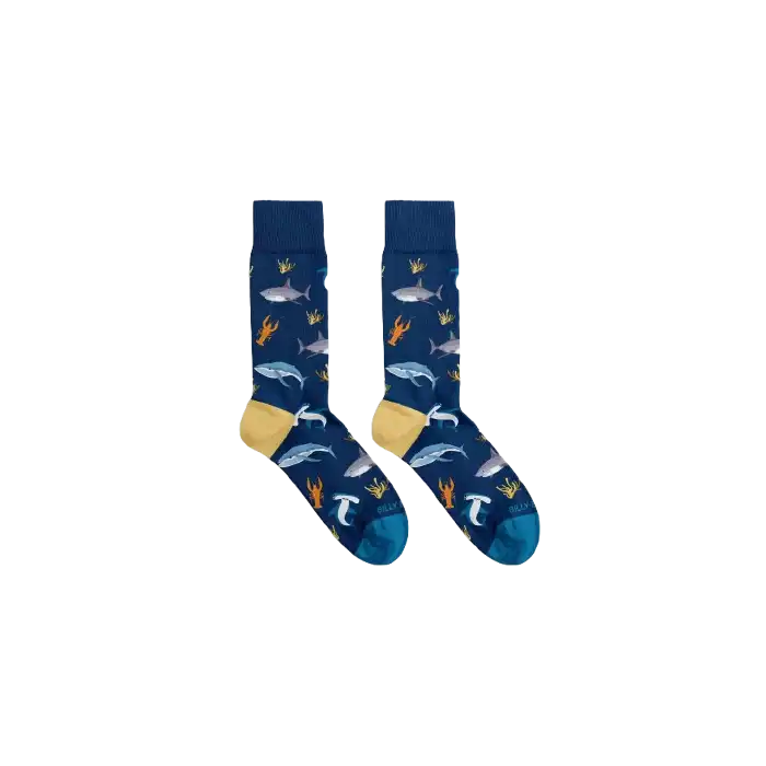 Calcetines Sea Life  Billy Brown - BILLY BROWN - Comparador de precios
