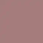 Matte Pleasure Lipstick Barra de Labios BE MY GREIGE - Nabla - Comparador de precios