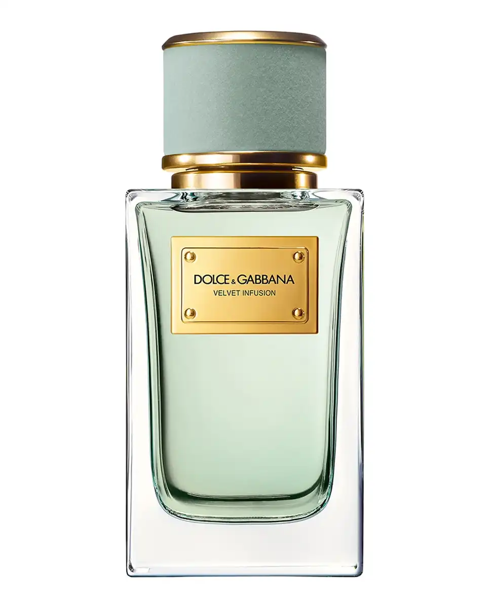 Eau de Parfum Velvet Infusion 100 ml Dolce & Gabbana - Dolce & Gabbana - Comparador de precios