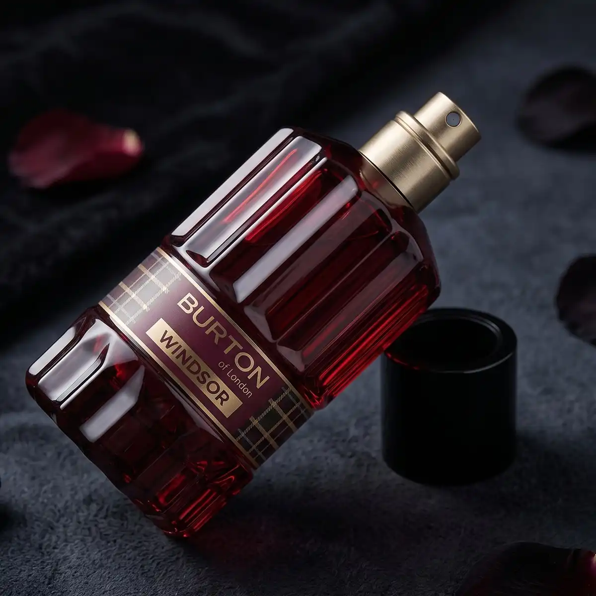 Eau de Parfum Windsor Eau de Parfum 100 ml - Burton - Comparador de precios