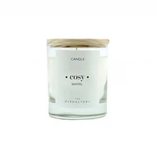 Ambientair - Vela Vaso 40 horas Santal The Olphactory Ambientadores 200 g female - Ambientair - Comparador de precios