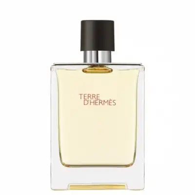 HERMÈS Terre d'Hermès Eau de Toilette 100 ML - Hermès - Comparador de precios