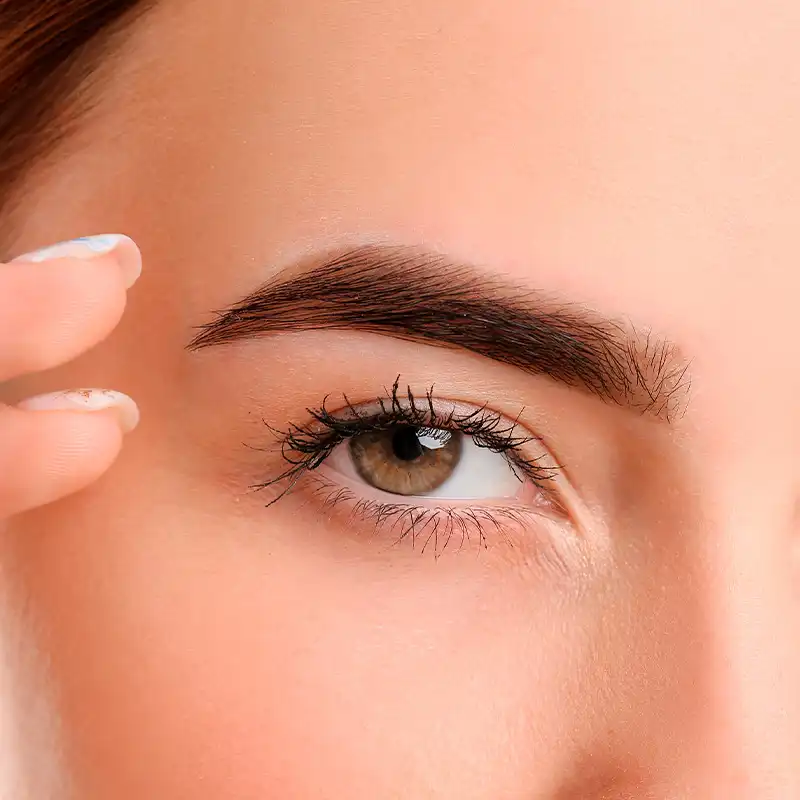 E-depilacion Femenina Cejas - Servicios Beauty Júlia - Comparador de precios