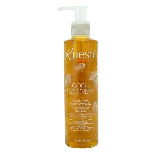 Cool Recovery - Kueshi - Comparador de precios