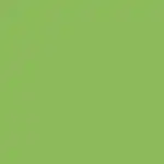 SOHO Coletero Neon Scrunchie en Verde Neón Goma de pelo SOHO Coletero Neon Scrunchie en Verde Neón - Soho - Comparador de precios