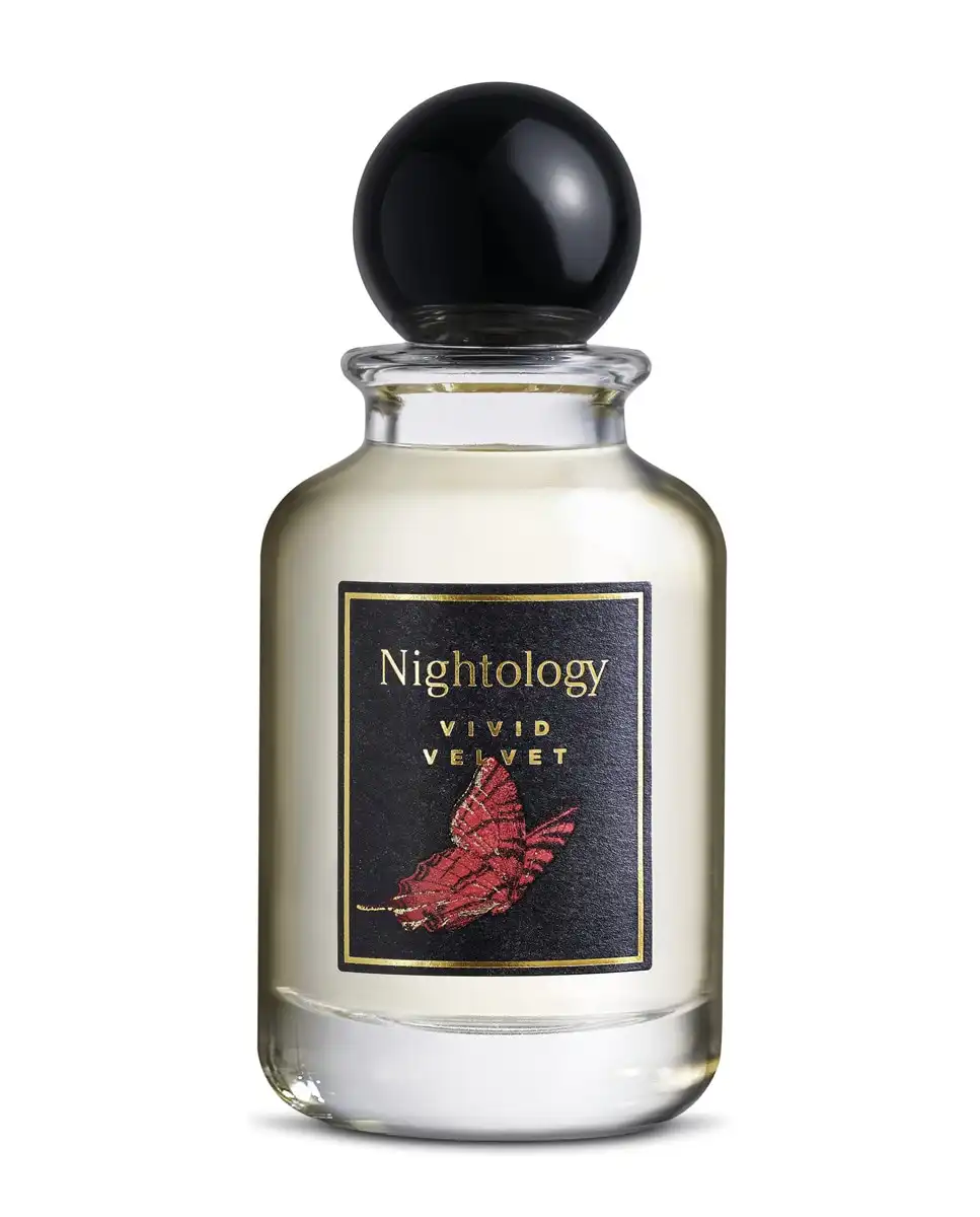 Nightology - Eau De Parfum Vivid Velvet 100 Ml - Nightology - Comparador de precios