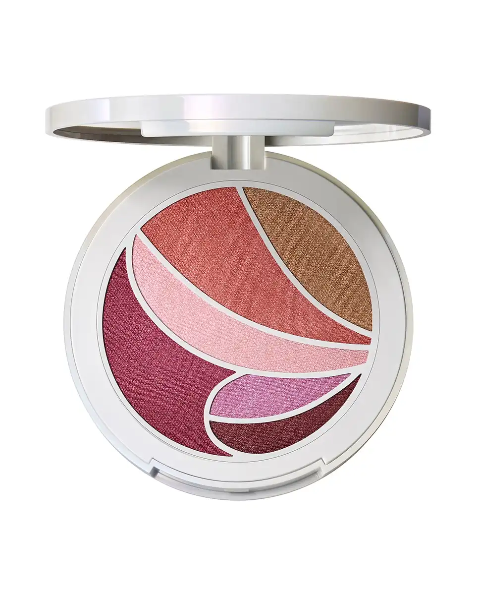 Paleta De Rostro Y Ojos Metamorphosis M.A.C - M.A.C - Comparador de precios