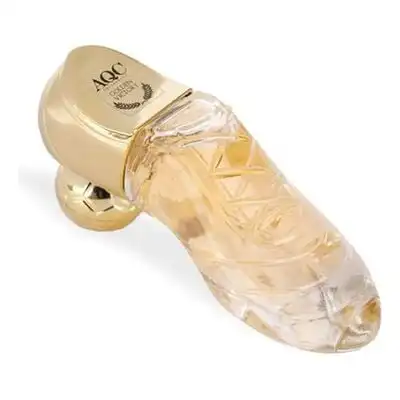 AQUARIUS FRAGANCES Golden Victory Eau de Parfum 30 ml - AQUARIUS FRAGANCES - Comparador de precios