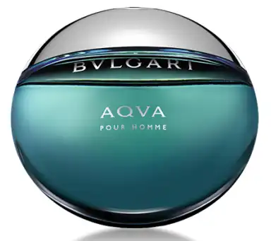 Aqua Pour Homme 100Ml - Bvlgari - Comparador de precios
