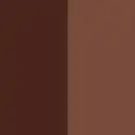 CHEEK THRILLS BRONZE & TONE DUOS Bronzer RIO CARNIVAL - Morphe - Comparador de precios