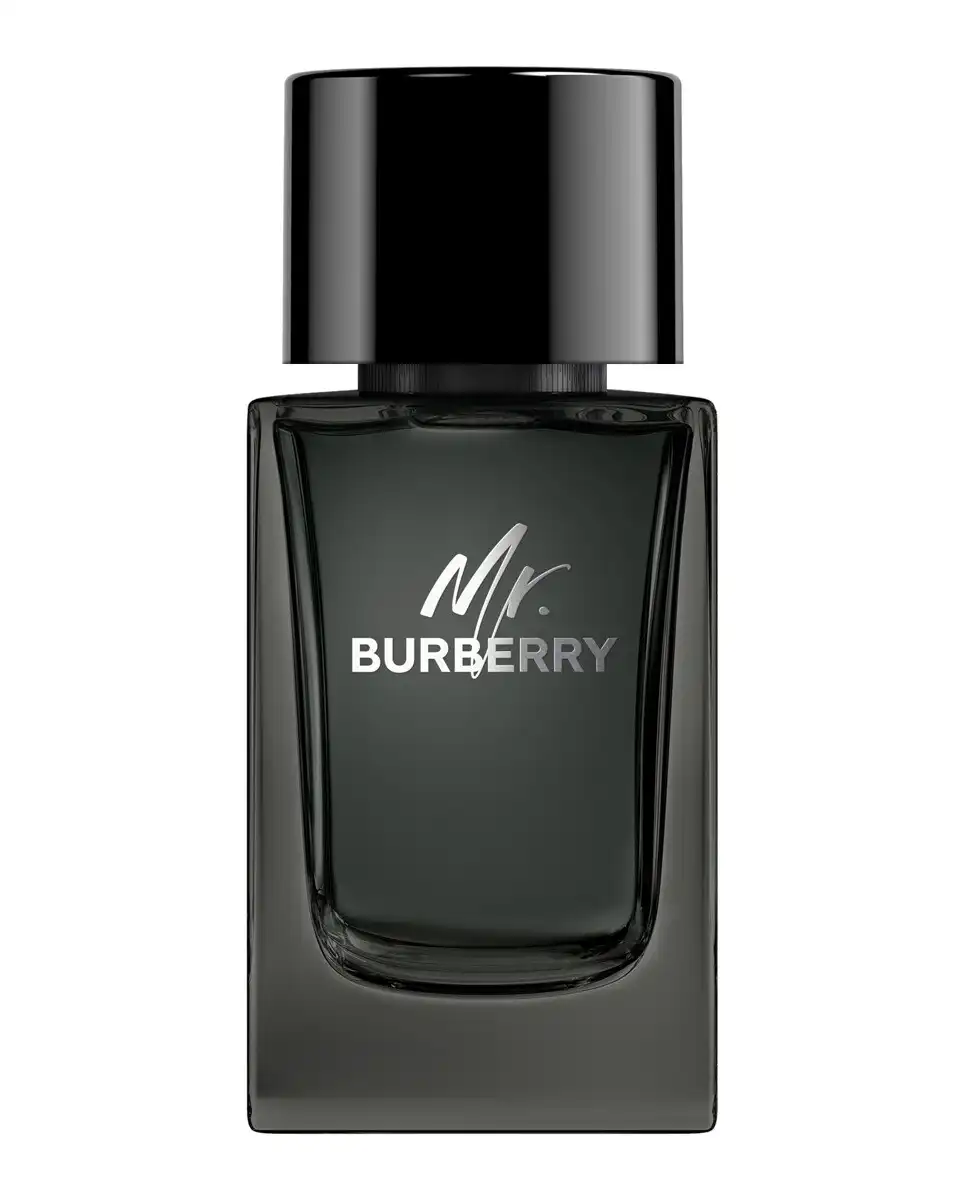 Burberry - Eau De Parfum Mr. 100 Ml - Burberry - Comparador de precios
