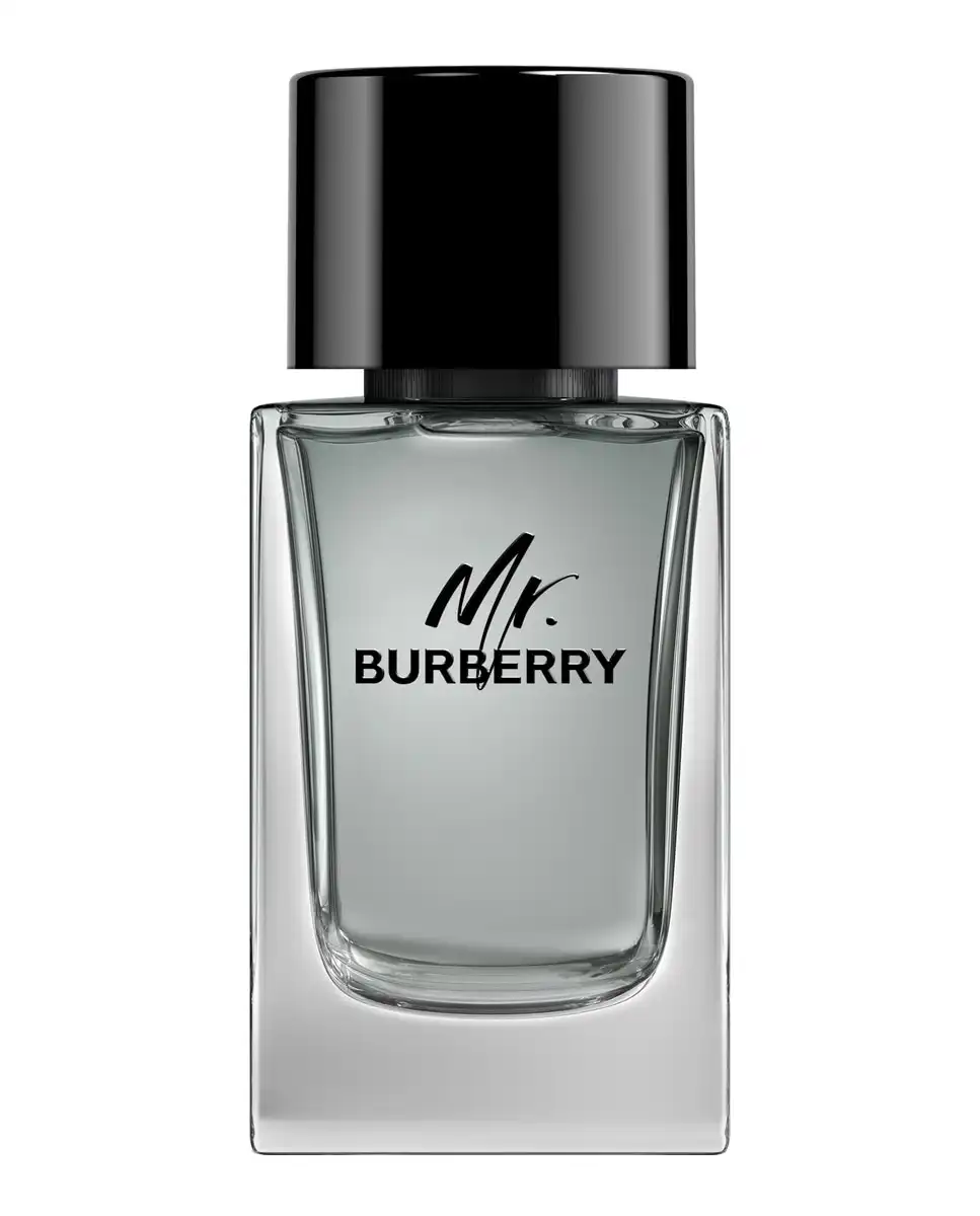 Burberry - Eau De Toilette Mr. 100 Ml - Burberry - Comparador de precios