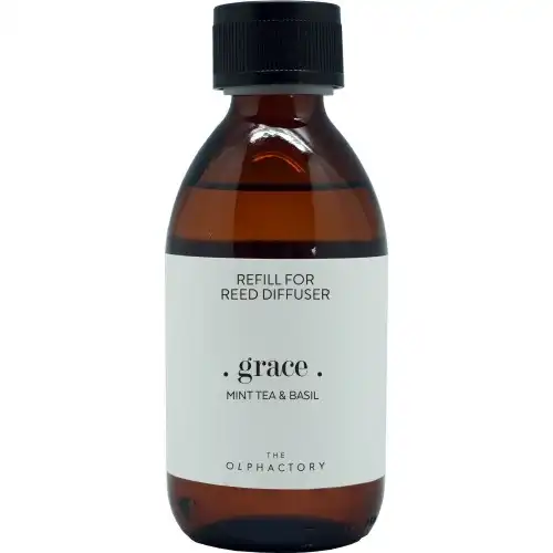 Ambientair Recambio Mikado Mint Tea y Basil The Olphactory 250 ML 250.0 ml - Ambientair - Comparador de precios