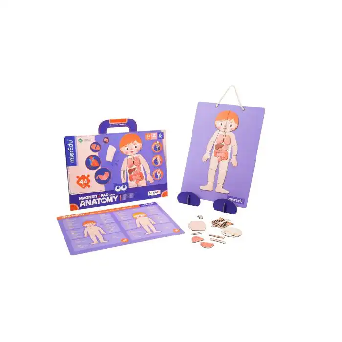 Magnetic Pad Puzle Anatomía - mier Edu - Comparador de precios