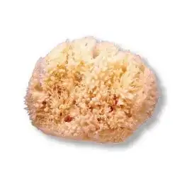 Esponja Natural Mediana - Suavinex - Comparador de precios