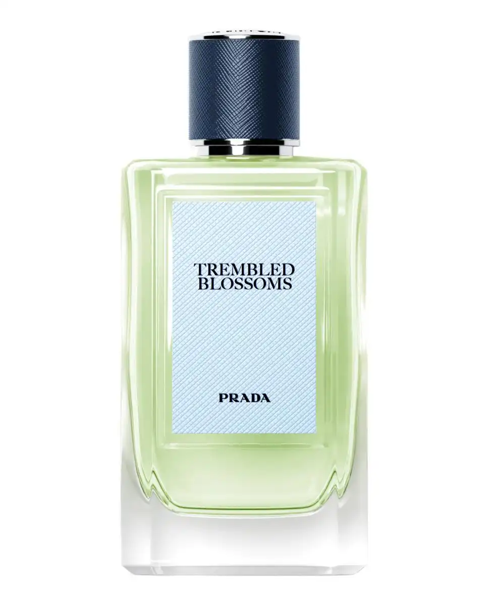 Trembled Blossoms Eau de Parfum Spray 100 Ml - Prada - Comparador de precios