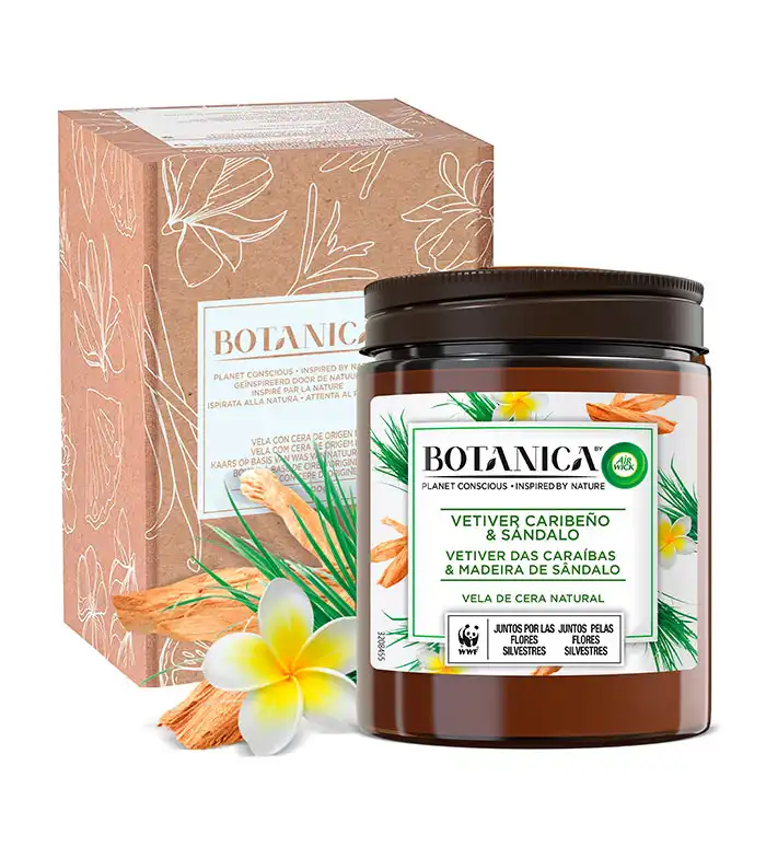 Air Wick - *BOTANICA by Air Wick* - Vela de cera de origen natural 500g - Vetiver Caribeño - Air wick - Comparador de precios