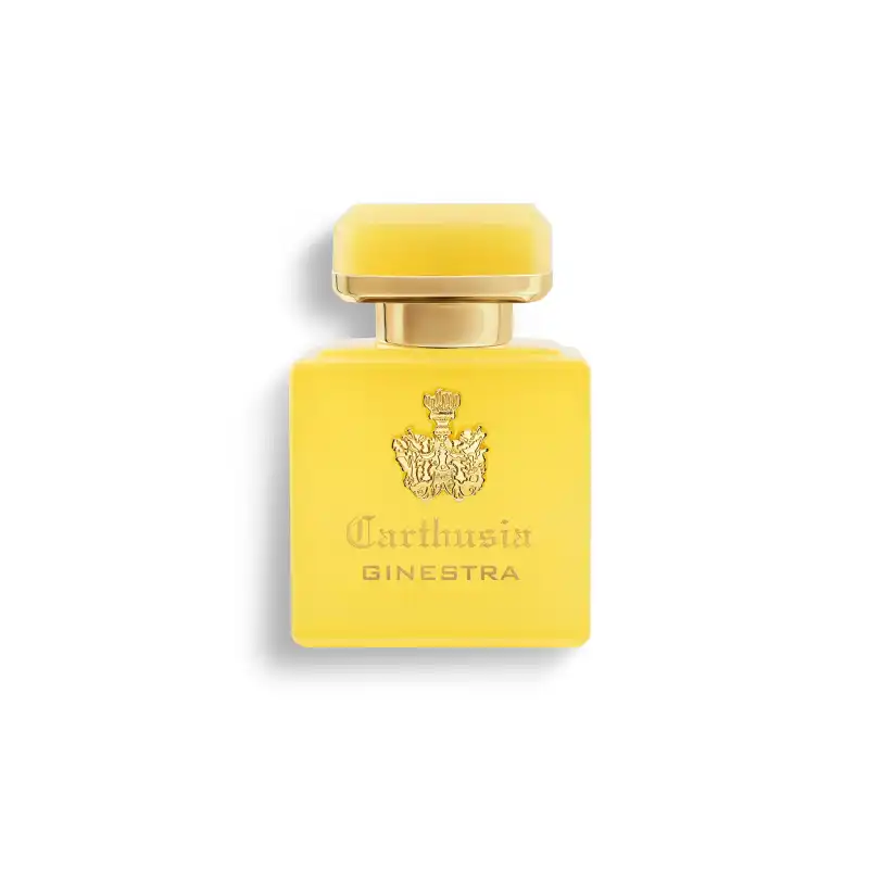 Intenso Di Ginestra Parfum 50 Ml - CARTHUSIA - Comparador de precios
