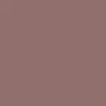 JEAN SPIRITED EYESHADOW TRIO Sombra de ojos CUT TO THE LACE - Morphe - Comparador de precios