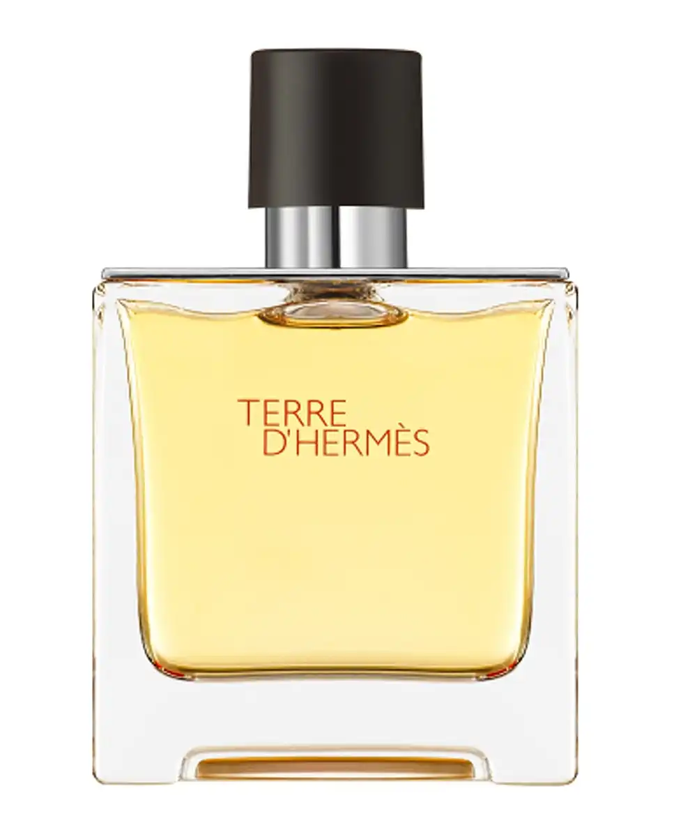 Hermès - Parfum Terre D' - Hermès - Comparador de precios