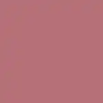 Beyond Blurry Lipstick Barra de Labios WARM ROSE - Nabla - Comparador de precios