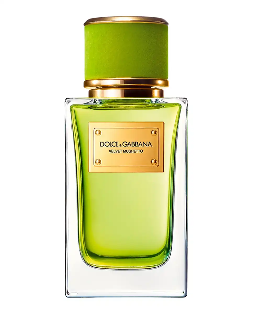 Dolce & Gabbana - Eau de Parfum Velvet Mughetto 100 ml Dolce&Gabbana. - Dolce & Gabbana - Comparador de precios