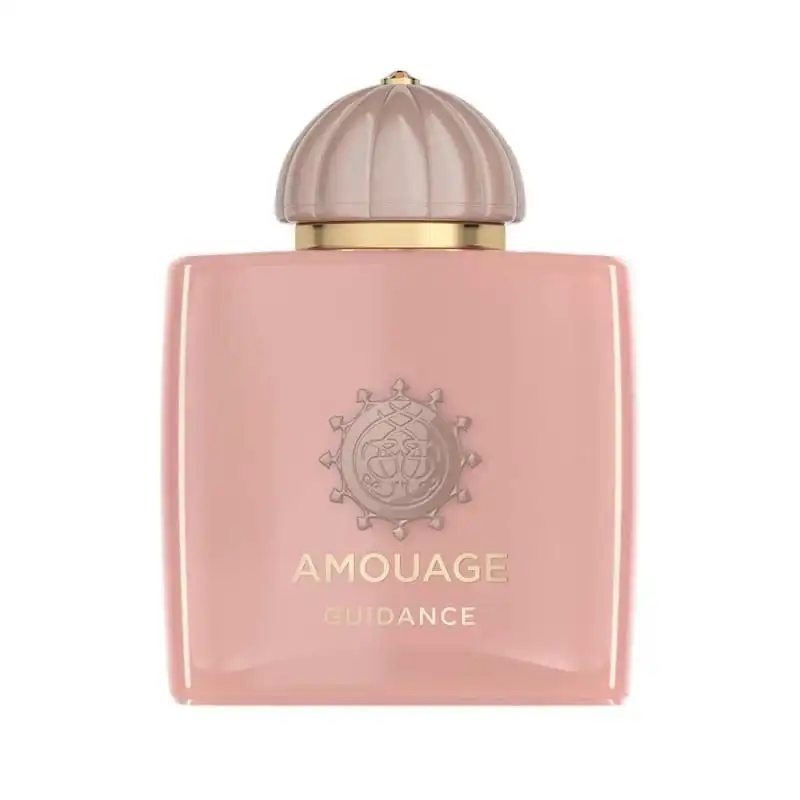 Eau de Parfum Guidance 46 Extrait 100ml Amouage [ISOLEE] - Amouage - Comparador de precios