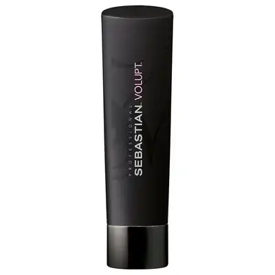 Sebastian DRY SHAMPOO 250 ml 250.0 ml - SEBASTIAN - Comparador de precios