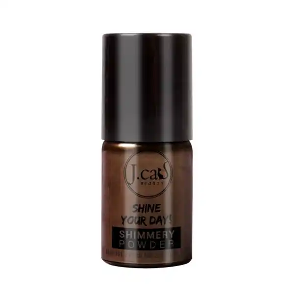 Shine Your Day Shimmery Powder Dark Wood - J.CAT - Comparador de precios
