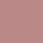 Matte Pleasure Lipstick Barra de Labios MILKY NUDE - Nabla - Comparador de precios
