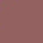 Matte Pleasure Lipstick Barra de Labios MAUVE ME - Nabla - Comparador de precios