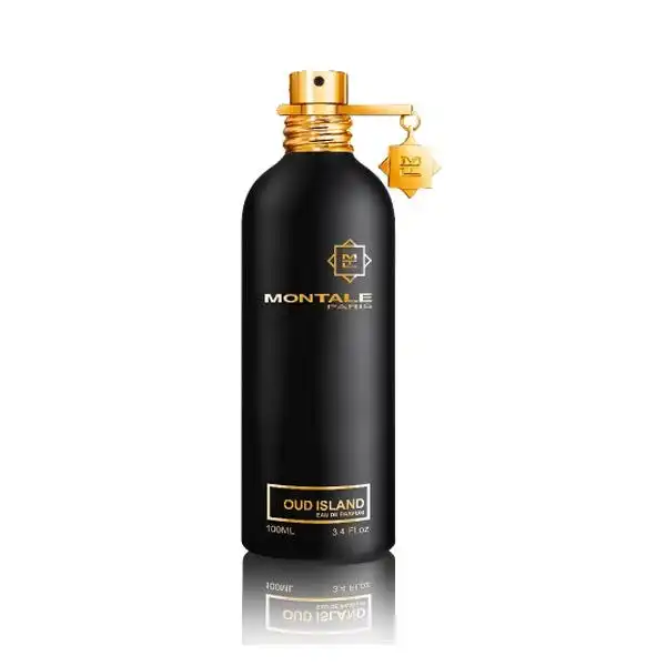 Oud Island - MONTALE PARIS - Comparador de precios