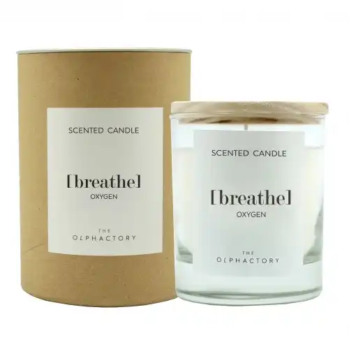 Ambientair Vela Vaso 40 horas Oxygen The Olphactory, 200 gr - Ambientair - Comparador de precios